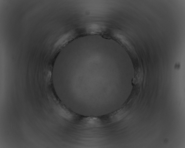 X0000091510427200708311231