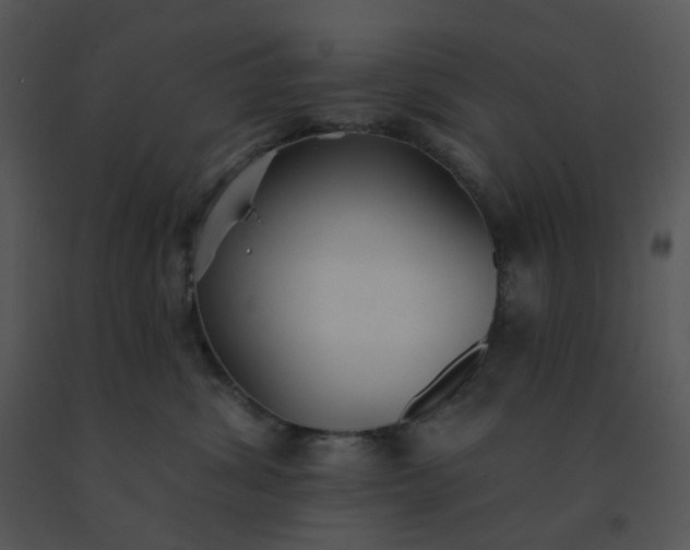 X0000091510428200708311231