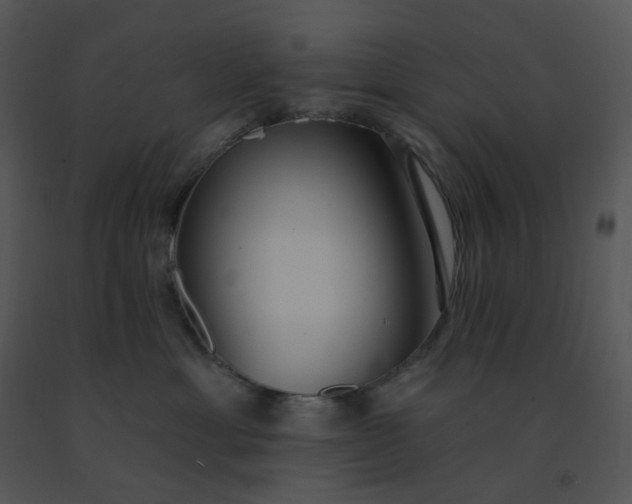 X0000091510429200708311231