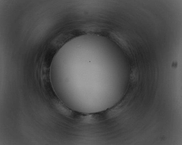 X0000091510430200708311231