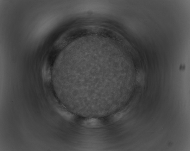 X0000091510431200708311231