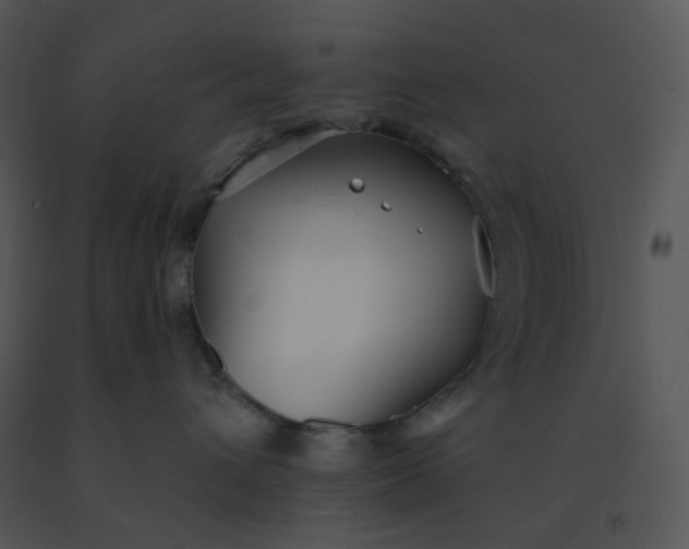 X0000091510432200708311231