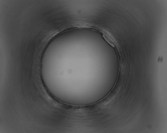 X0000091510433200708311230