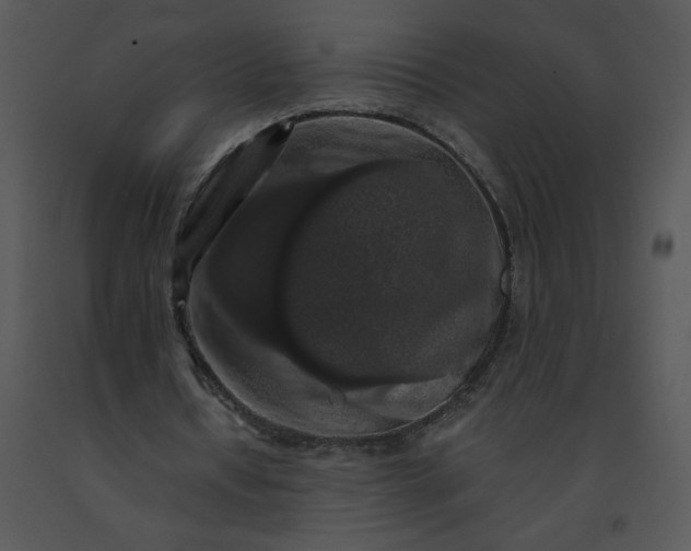 X0000091510434200708311230