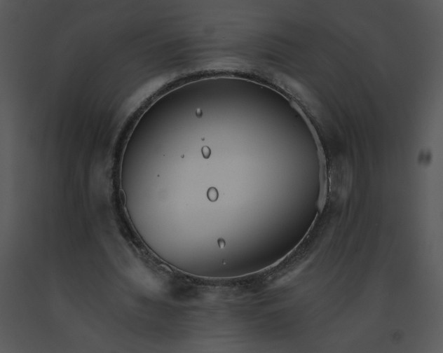 X0000091510436200708311230