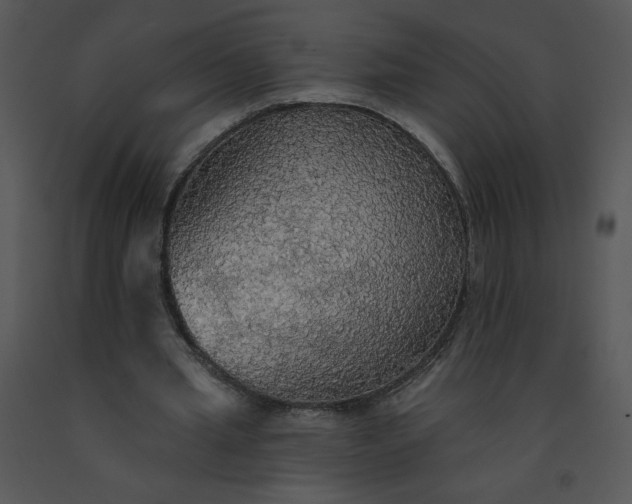 X0000091510437200708311230