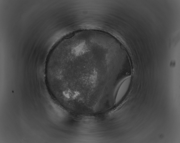 X0000091510438200708311230