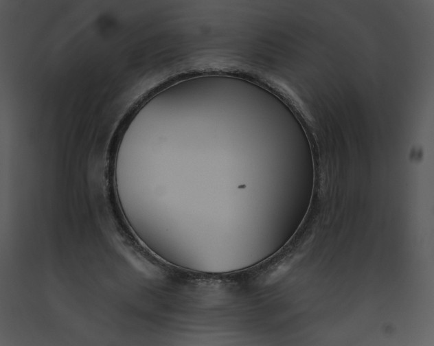 X0000091510439200708311230