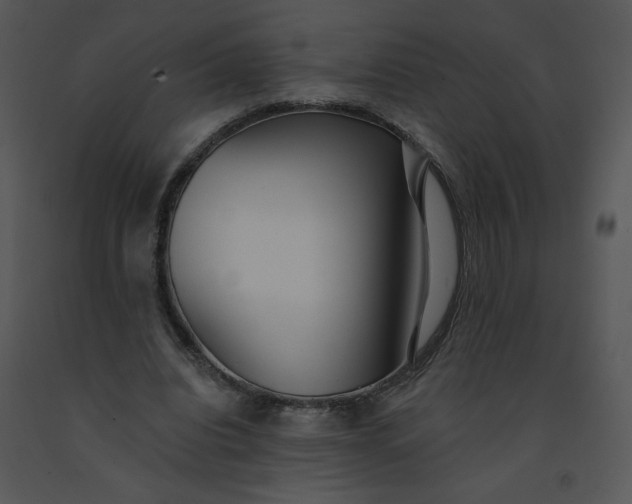 X0000091510440200708311230