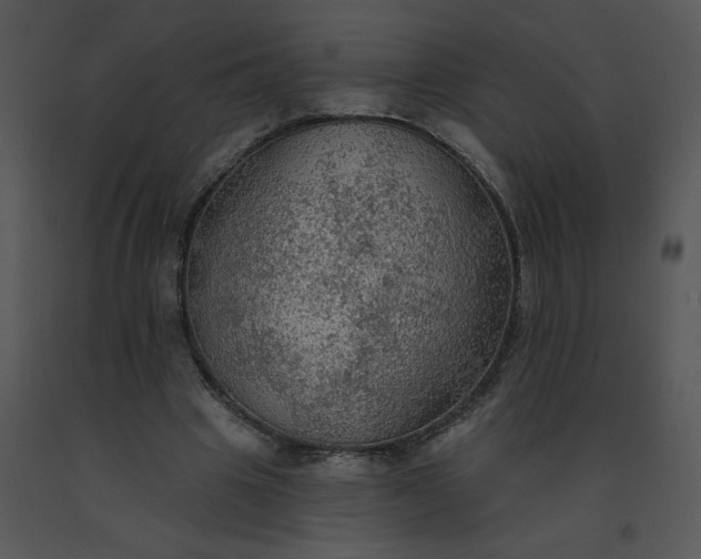 X0000091510441200708311230