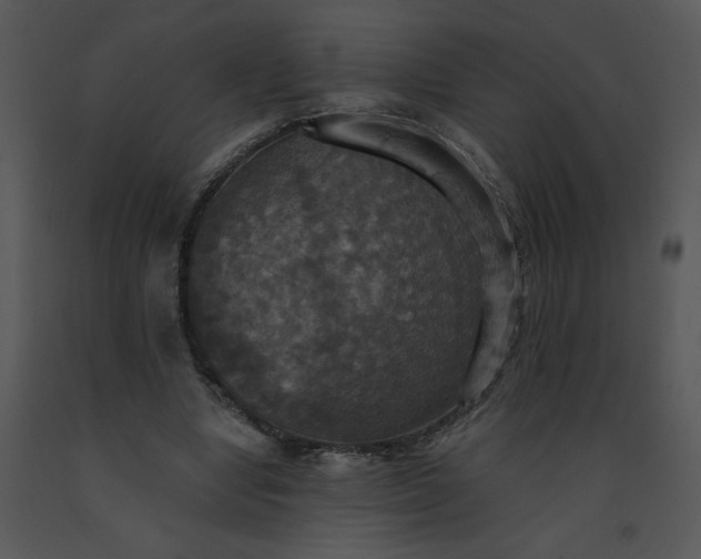 X0000091510442200708311230