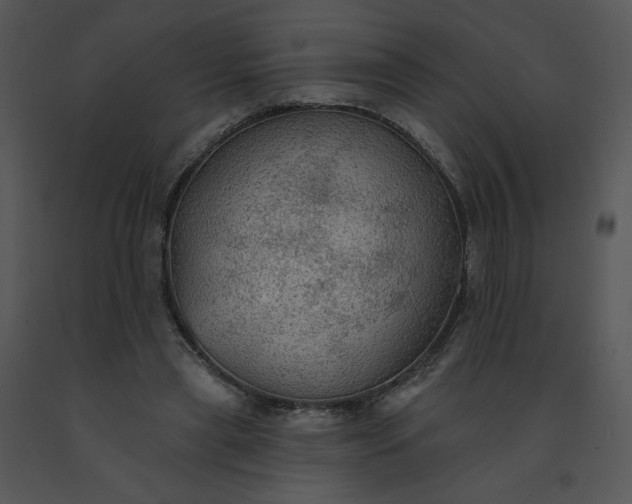 X0000091510445200708311230