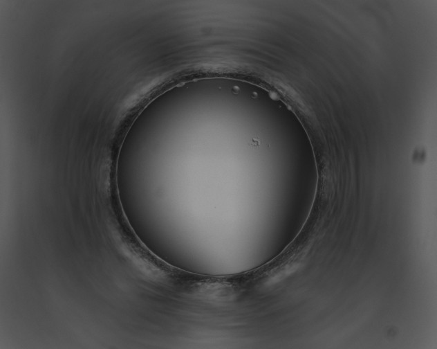 X0000091510446200708311230