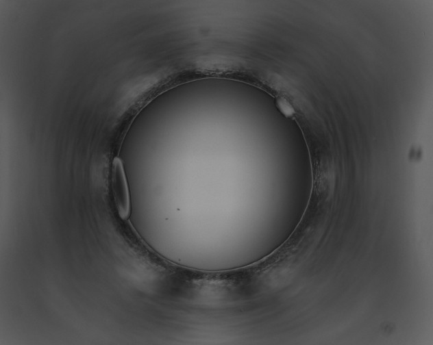 X0000091510448200708311230