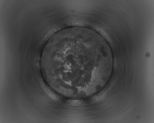 X0000091510449200708311230