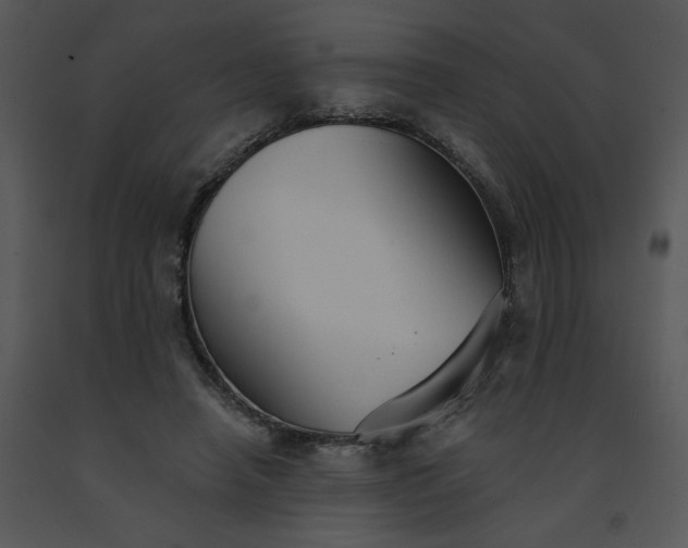 X0000091510450200708311230