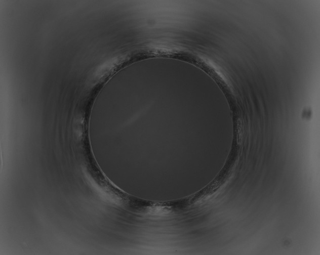 X0000091510451200708311230