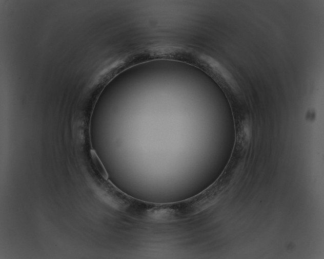 X0000091510452200708311230