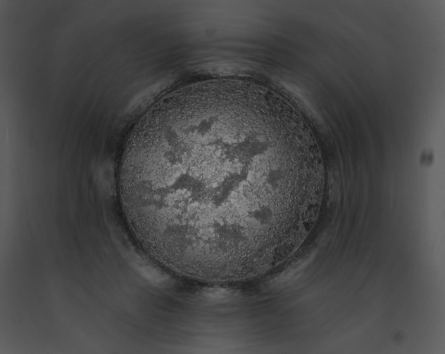 X0000091510453200708311230