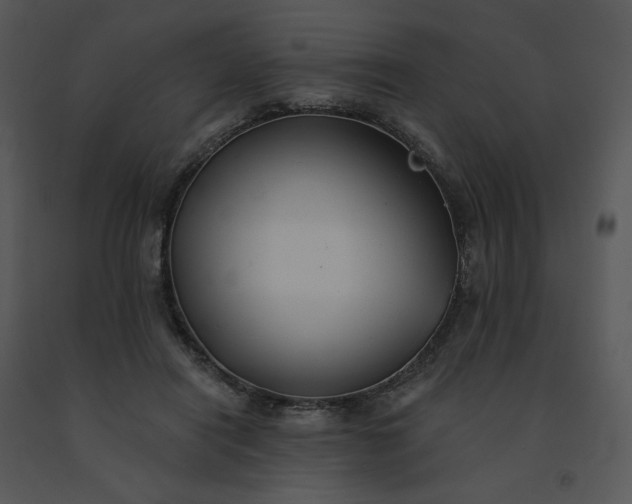 X0000091510454200708311230