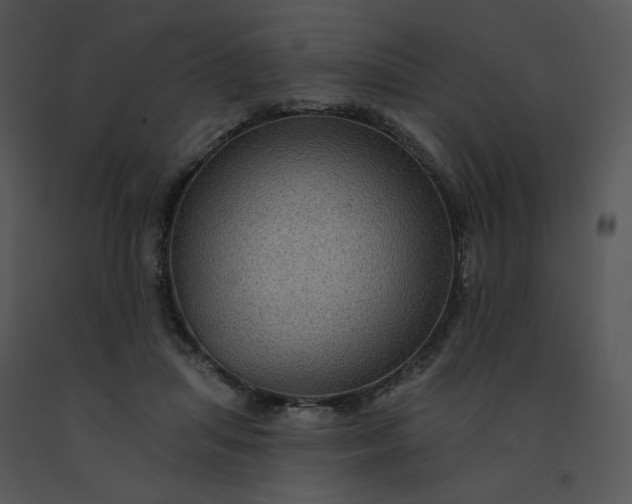 X0000091510455200708311230