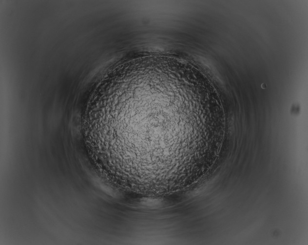 X0000091510457200708311230