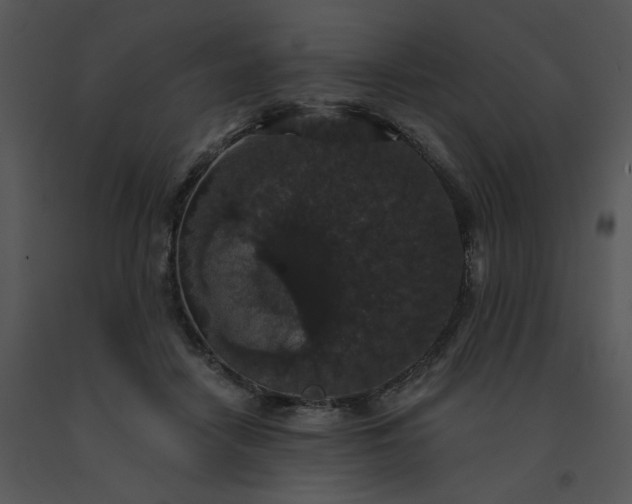 X0000091510458200708311231