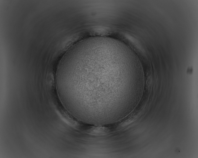 X0000091510459200708311231