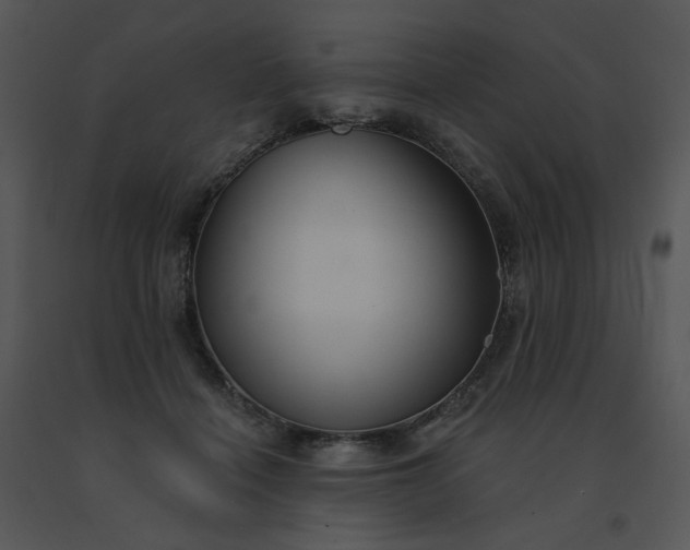 X0000091510460200708311231