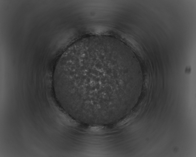 X0000091510461200708311231