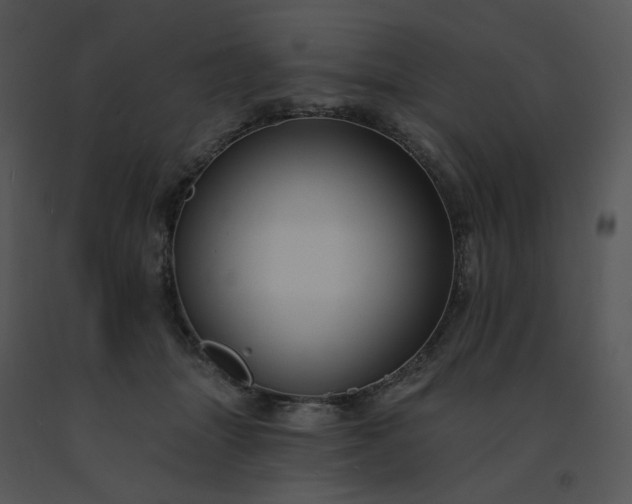 X0000091510463200708311231