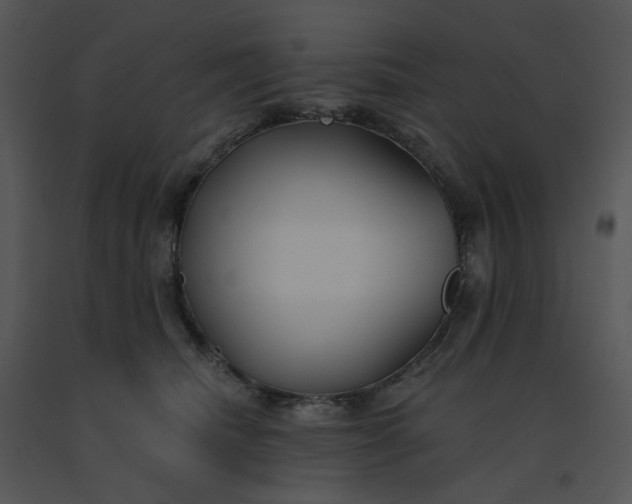 X0000091510468200708311231