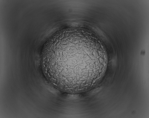 X0000091510469200708311231