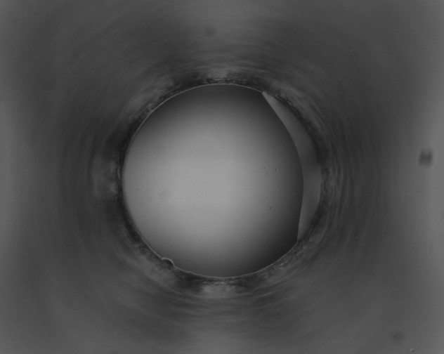 X0000091510470200708311231