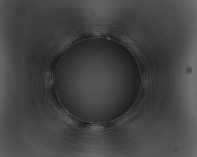 X0000091510471200708311231