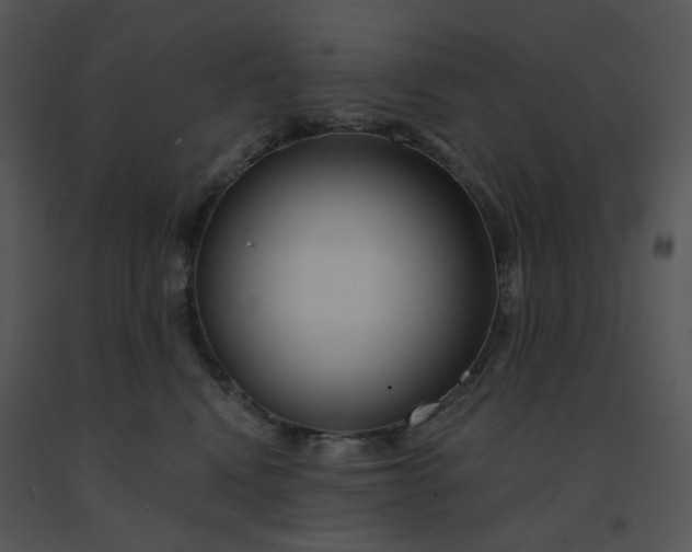 X0000091510472200708311231