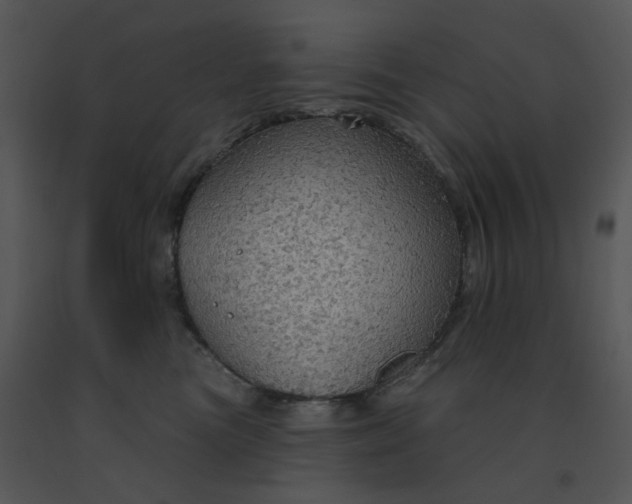 X0000091510473200708311231