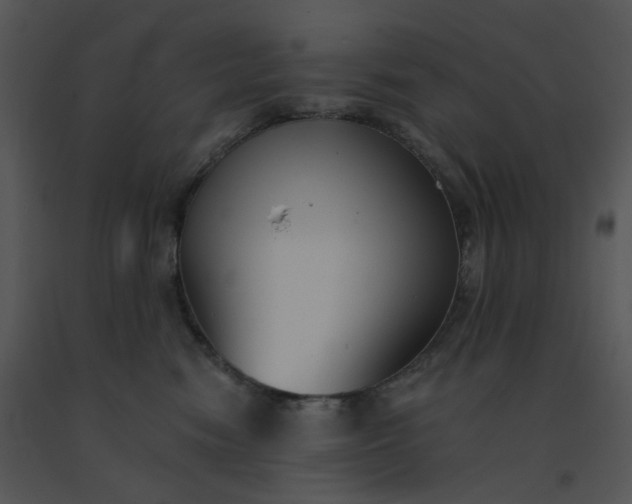 X0000091510474200708311231