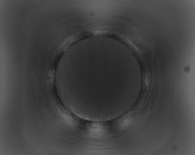 X0000091510475200708311231