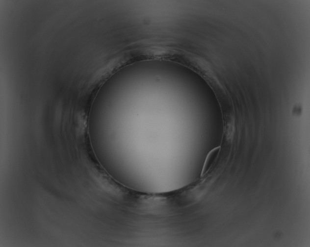 X0000091510476200708311231