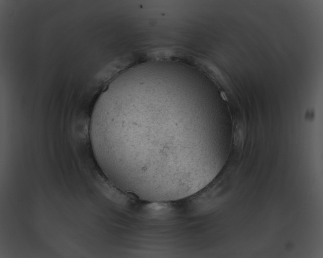 X0000091510477200708311231