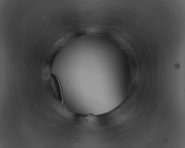 X0000091510478200708311231