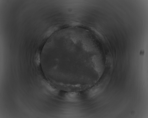 X0000091510479200708311231