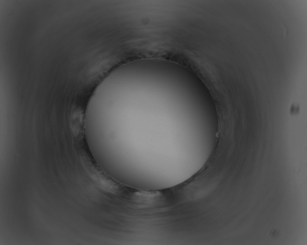 X0000091510480200708311231