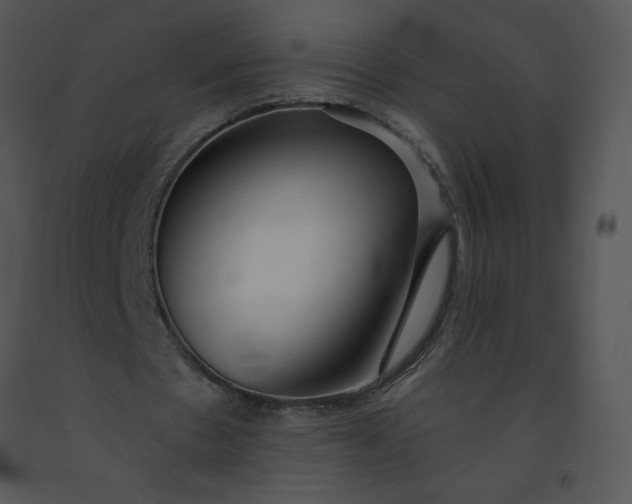 X0000091510481200708311230