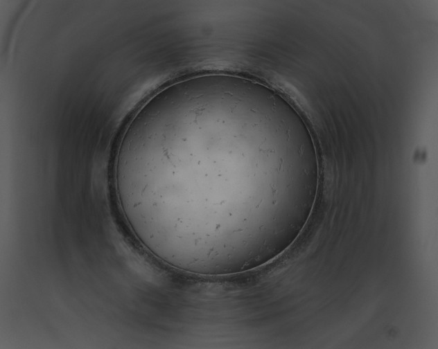 X0000091510482200708311230