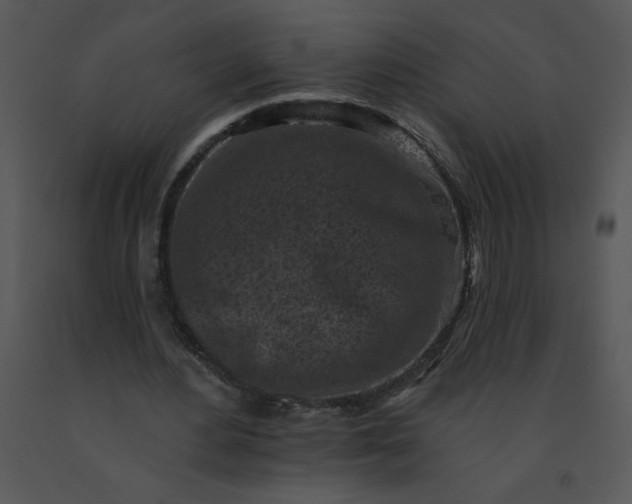 X0000091510484200708311230