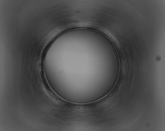 X0000091510486200708311230