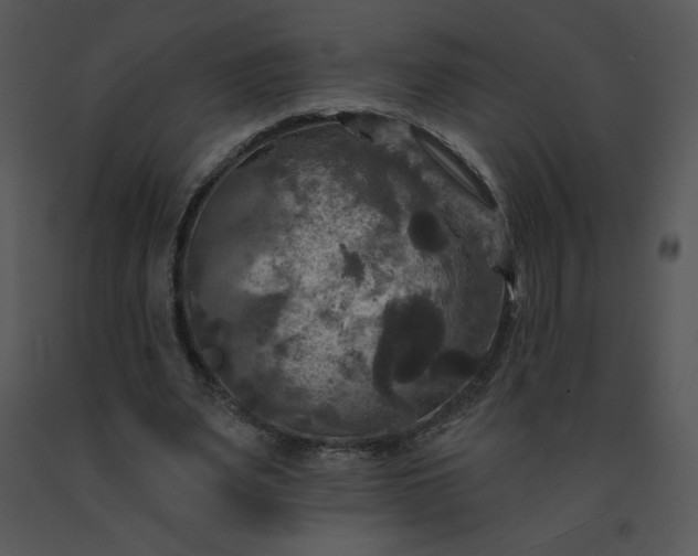 X0000091510487200708311230