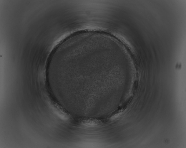 X0000091510488200708311230